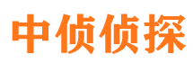 永仁市侦探公司